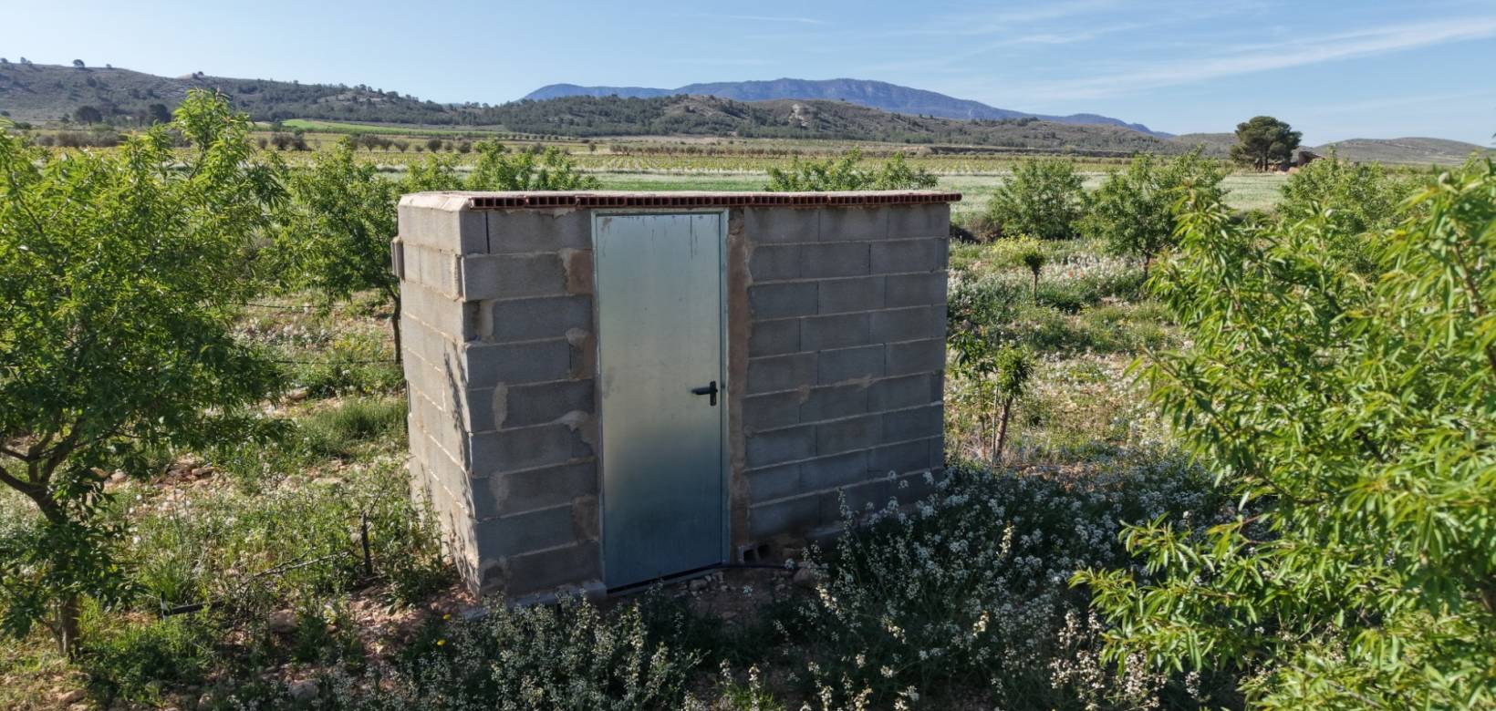 Resale - Land - Yecla - Yecla Murcia