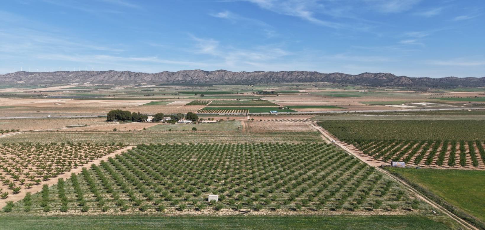 Resale - Land - Yecla - Yecla Murcia