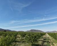 Resale - Land - Yecla - Yecla Murcia