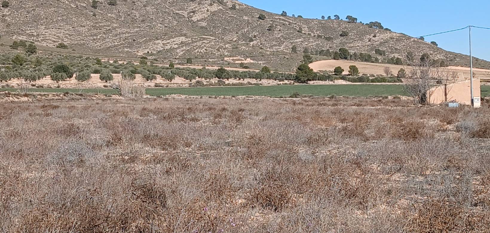 Resale - Land - Yecla