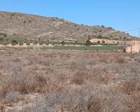Resale - Land - Yecla