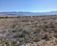 Resale - Land - Yecla