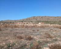 Resale - Land - Yecla