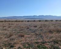 Resale - Land - Yecla