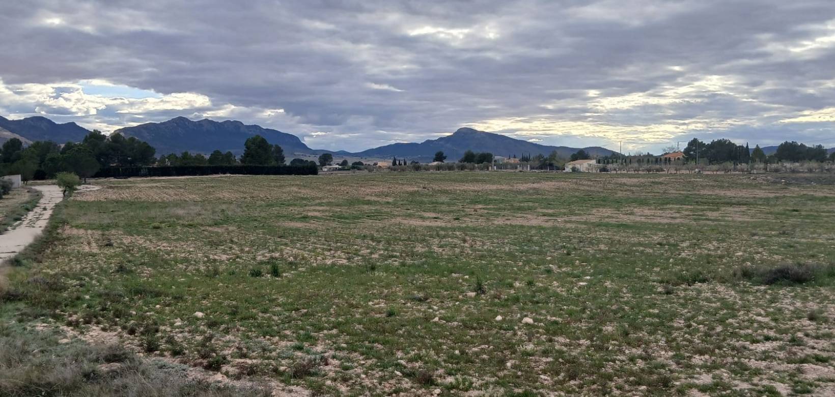 Resale - Land - Yecla