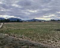 Resale - Land - Yecla
