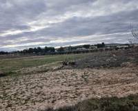 Resale - Land - Yecla
