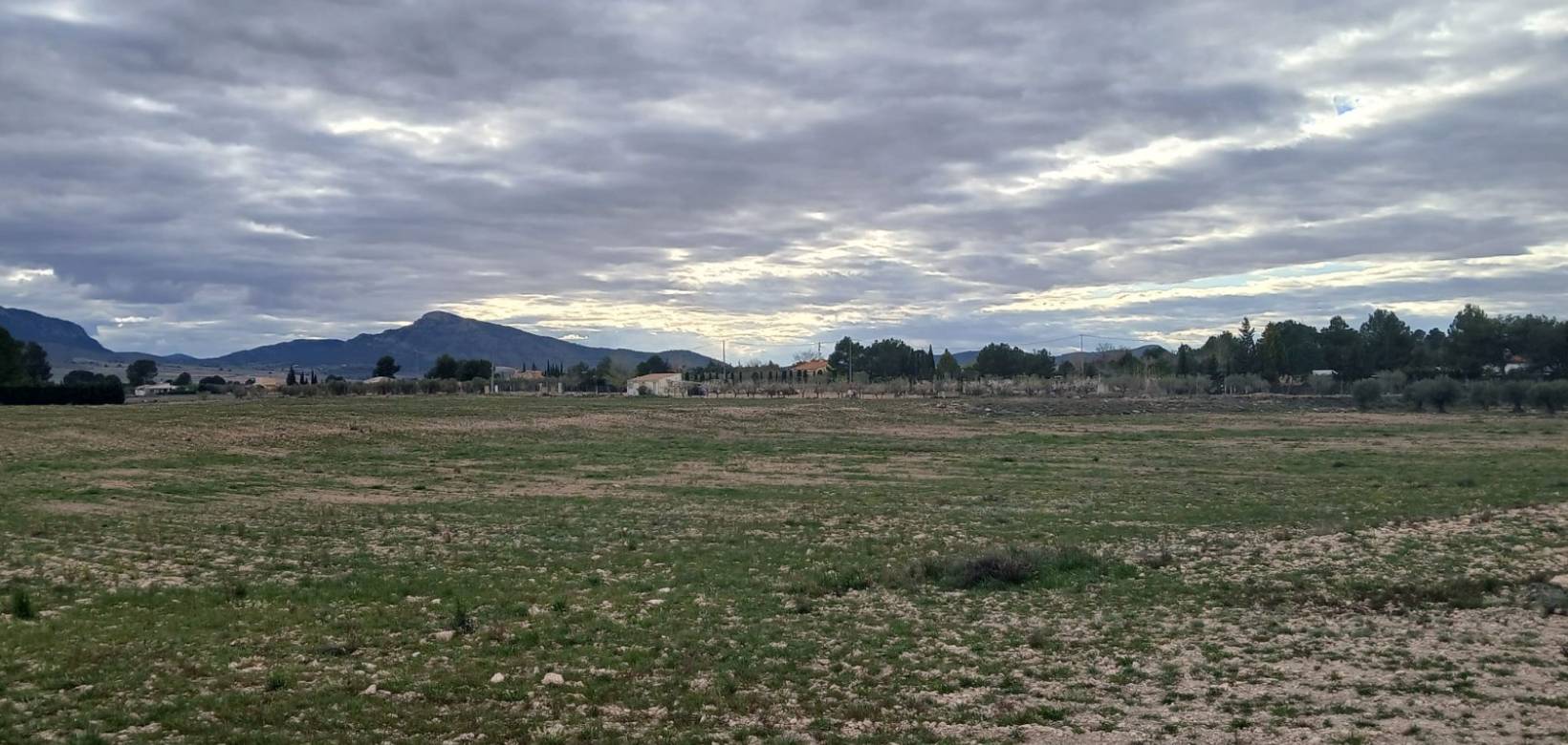 Resale - Land - Yecla