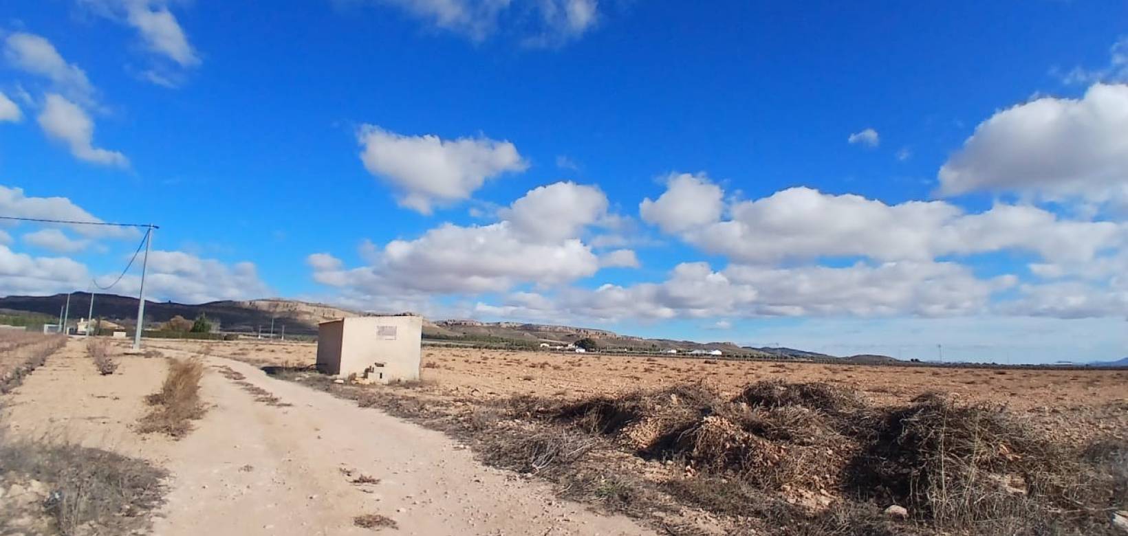 Resale - Land - Yecla
