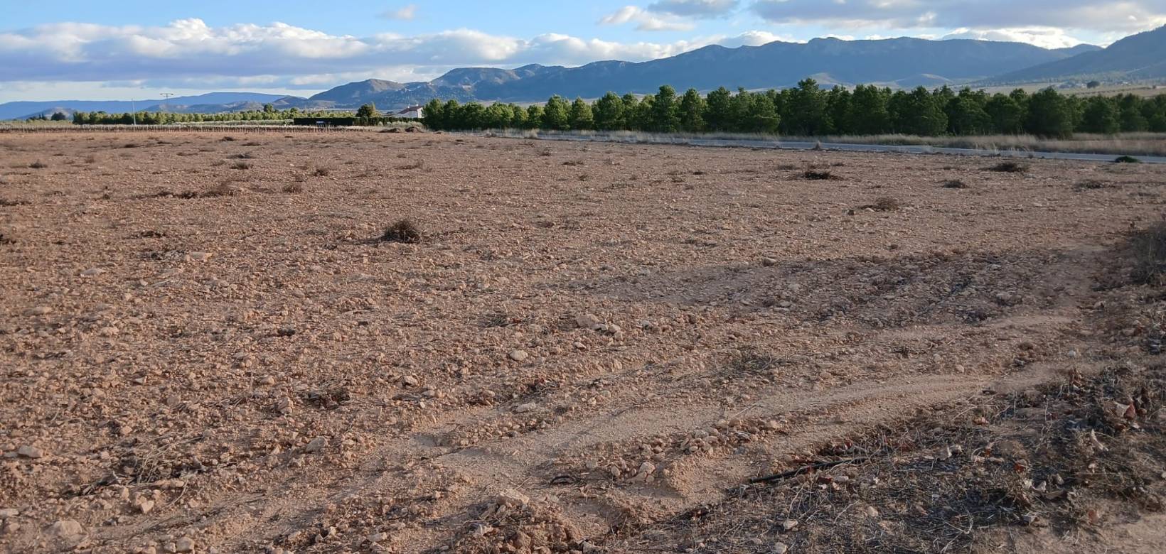 Resale - Land - Yecla