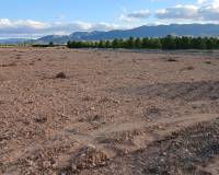 Resale - Land - Yecla