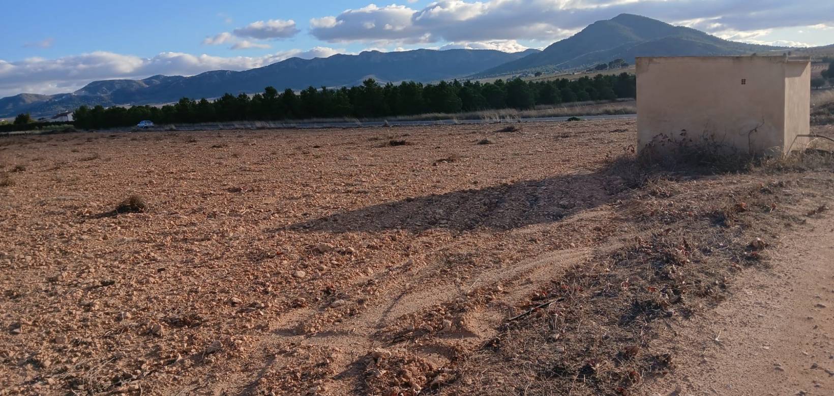 Resale - Land - Yecla