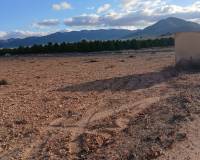 Resale - Land - Yecla