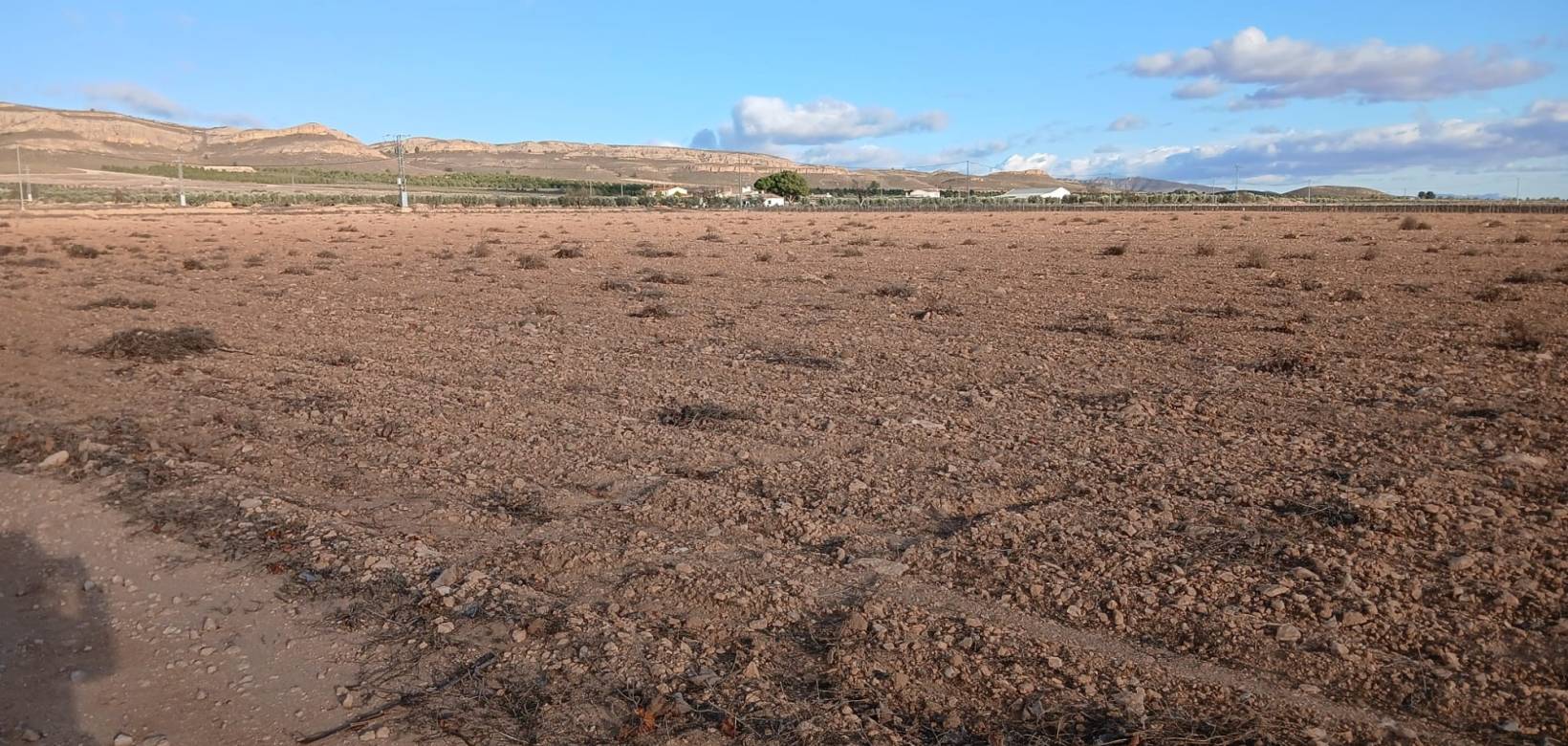 Resale - Land - Yecla