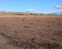 Resale - Land - Yecla