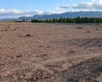 Resale - Land - Yecla