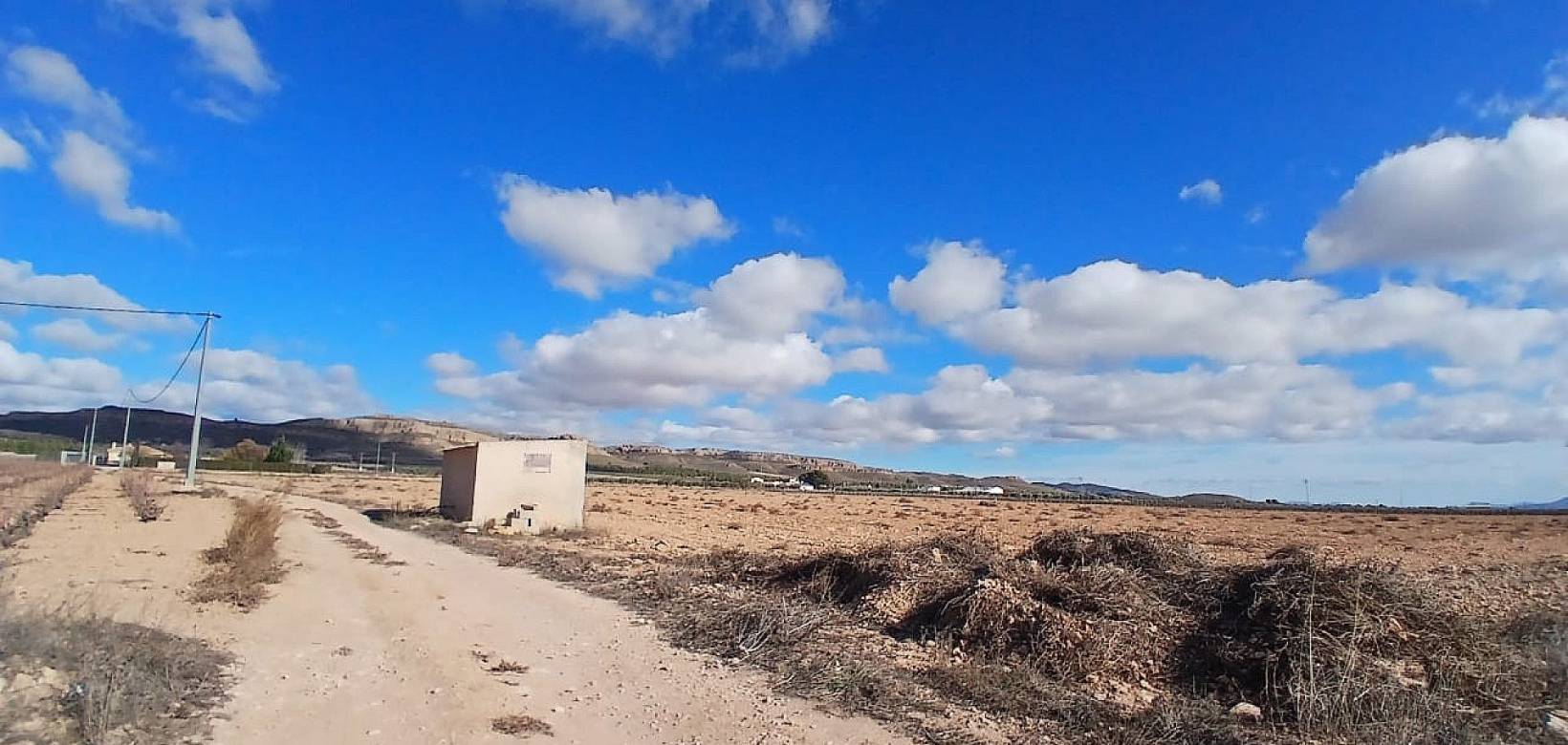 Resale - Land - Yecla