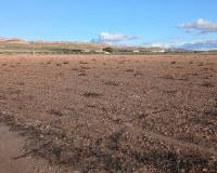 Resale - Land - Yecla