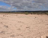 Resale - Land - Yecla