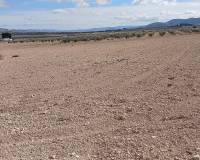 Resale - Land - Yecla