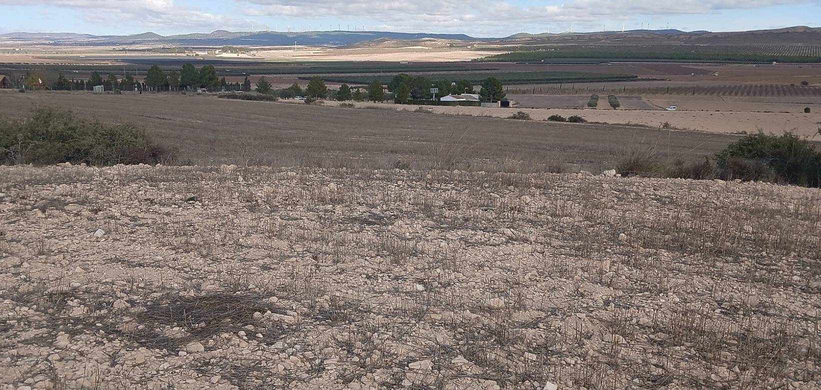 Resale - Land - Yecla