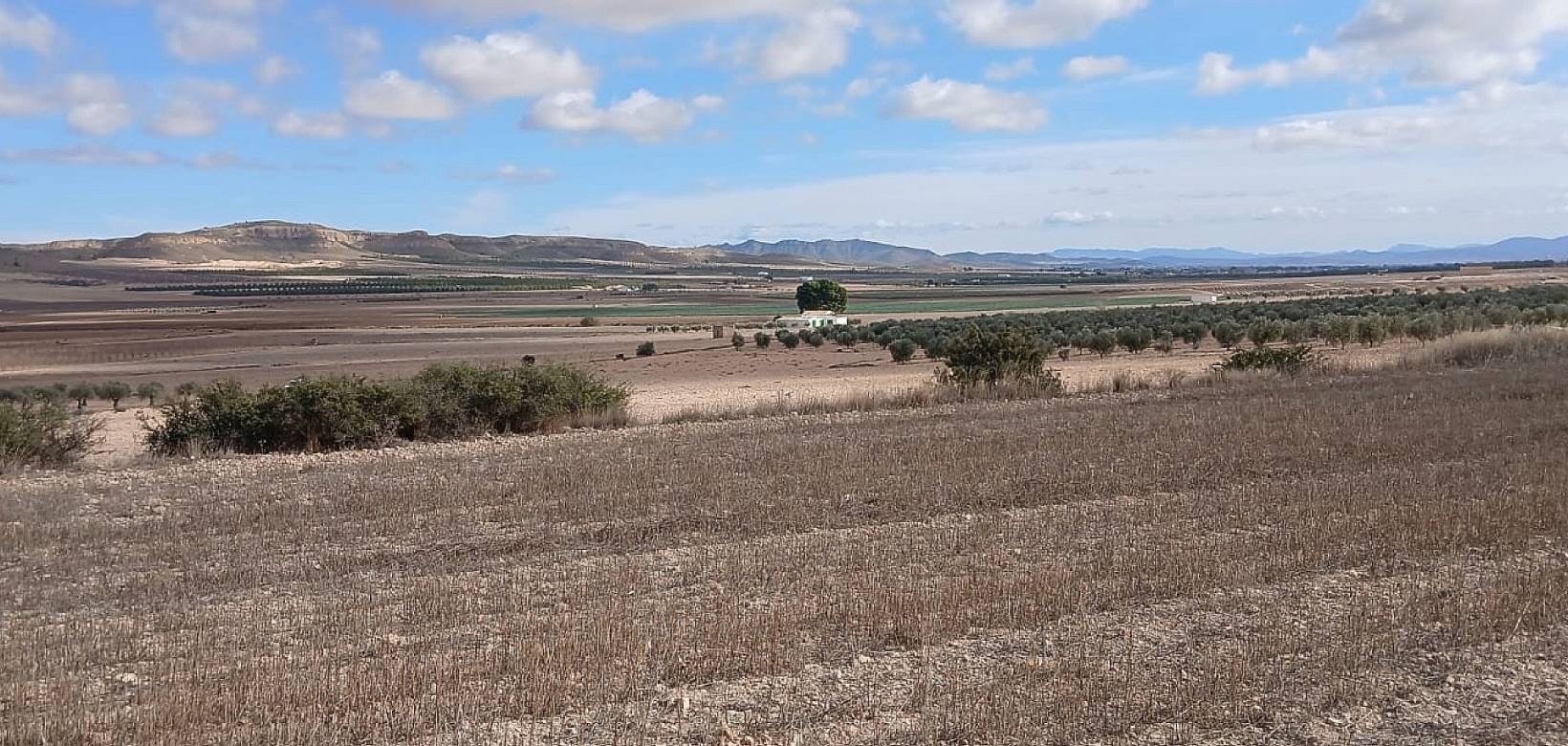 Resale - Land - Yecla