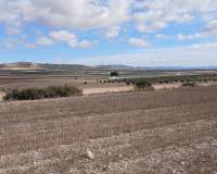 Resale - Land - Yecla