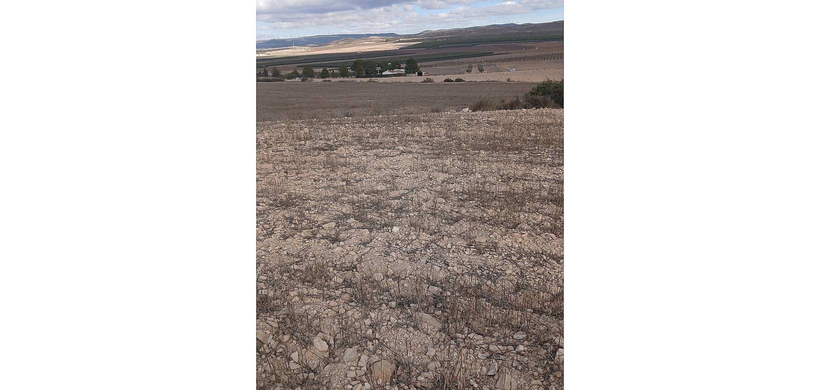 Resale - Land - Yecla