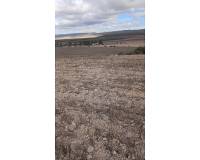 Resale - Land - Yecla