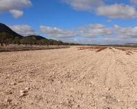 Resale - Land - Yecla