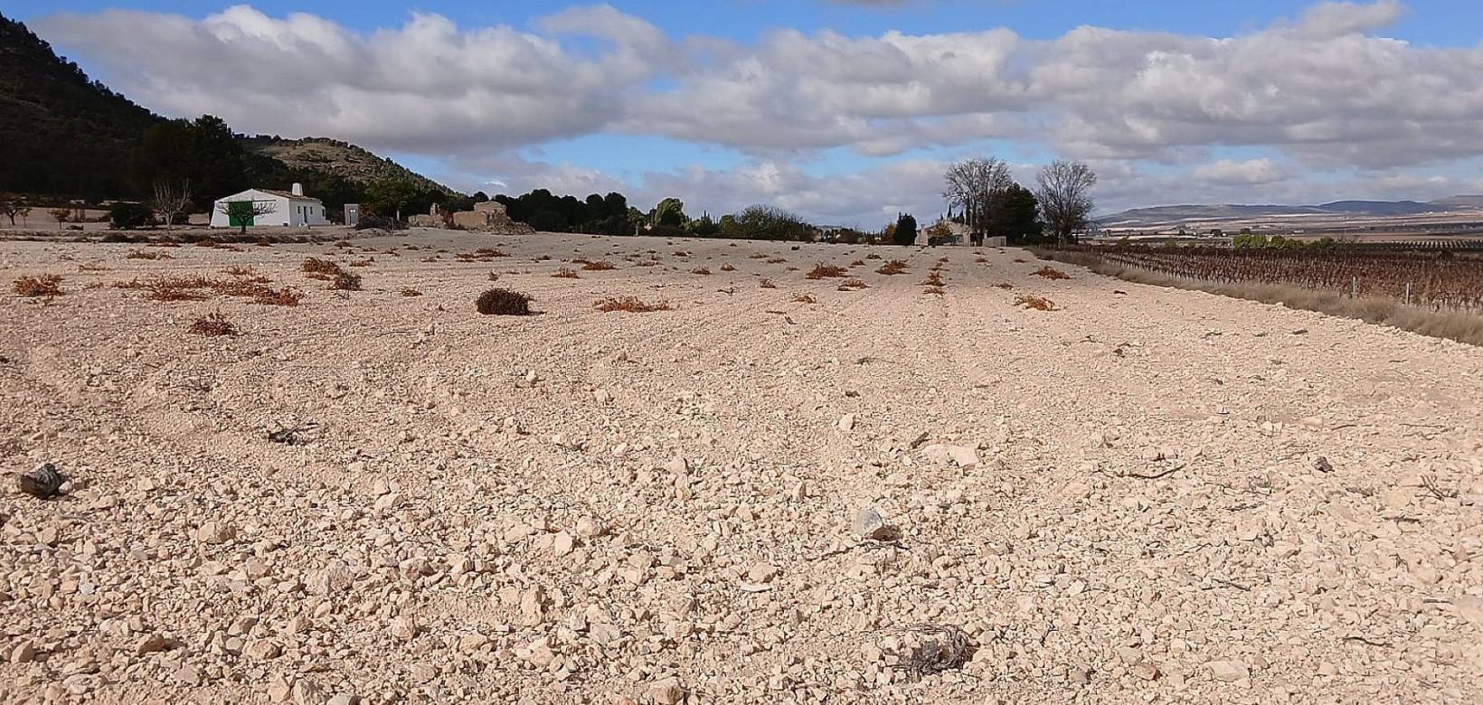 Resale - Land - Yecla