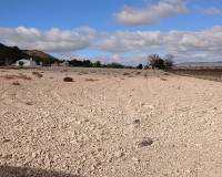 Resale - Land - Yecla