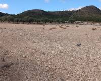 Resale - Land - Yecla