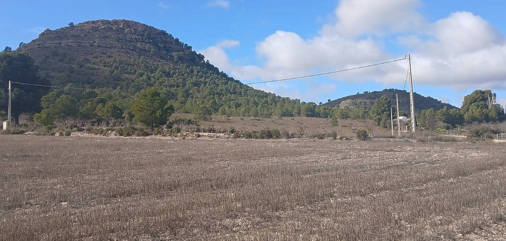 Resale - Land - Yecla