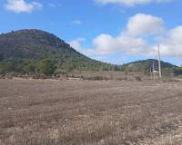 Resale - Land - Yecla