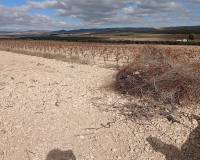 Resale - Land - Yecla