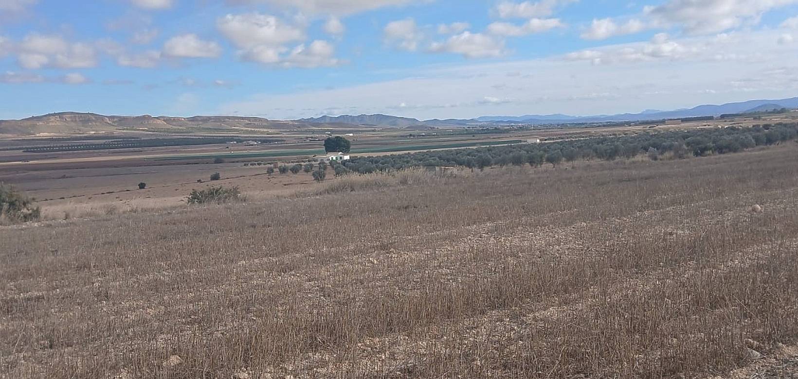 Resale - Land - Yecla