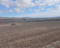 Resale - Land - Yecla