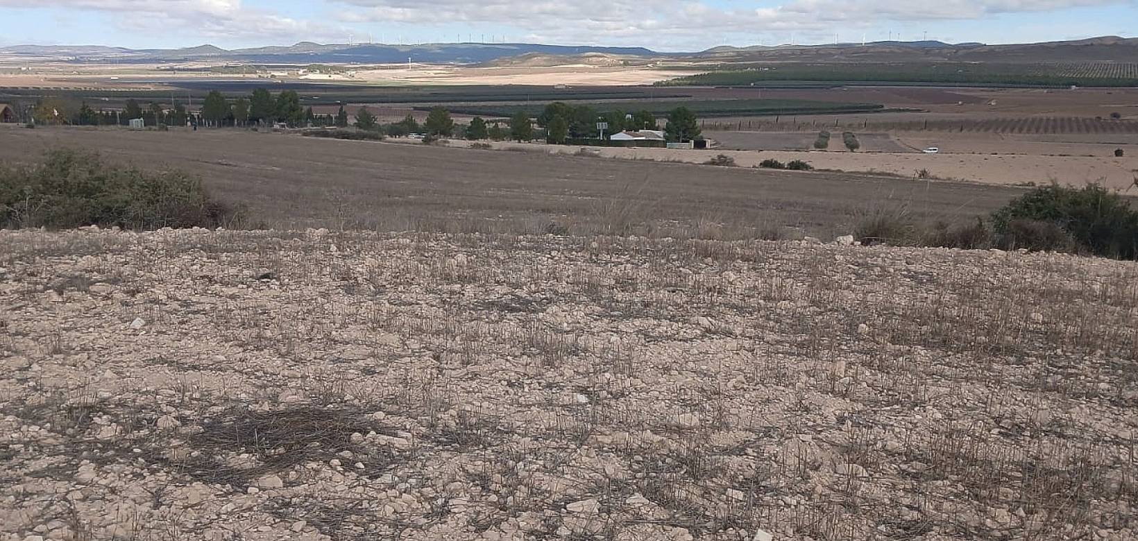 Resale - Land - Yecla