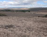 Resale - Land - Yecla