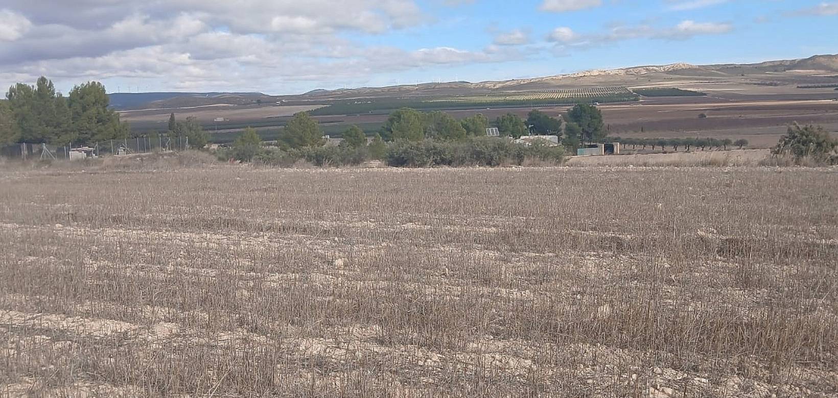 Resale - Land - Yecla