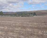 Resale - Land - Yecla