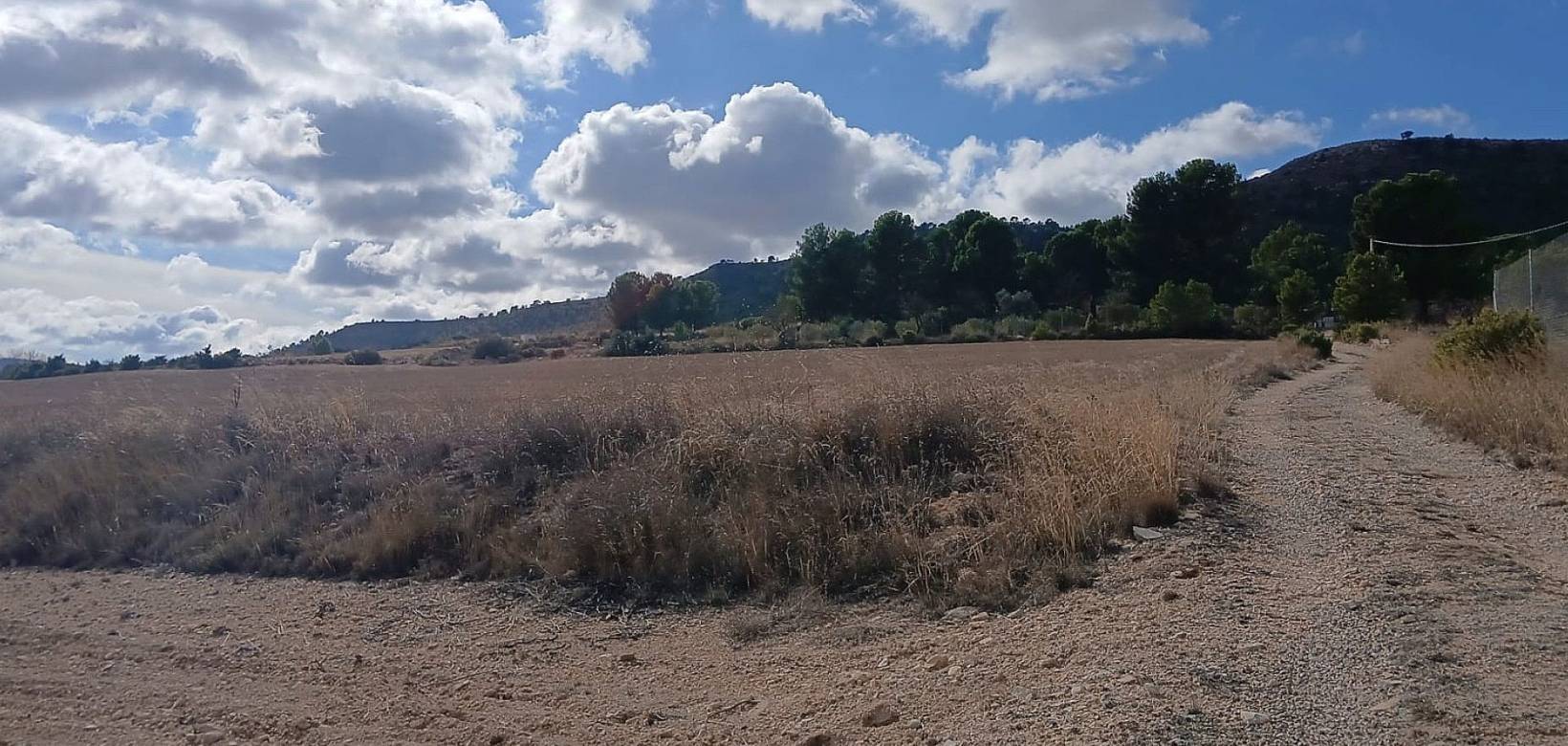 Resale - Land - Yecla