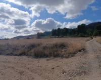 Resale - Land - Yecla