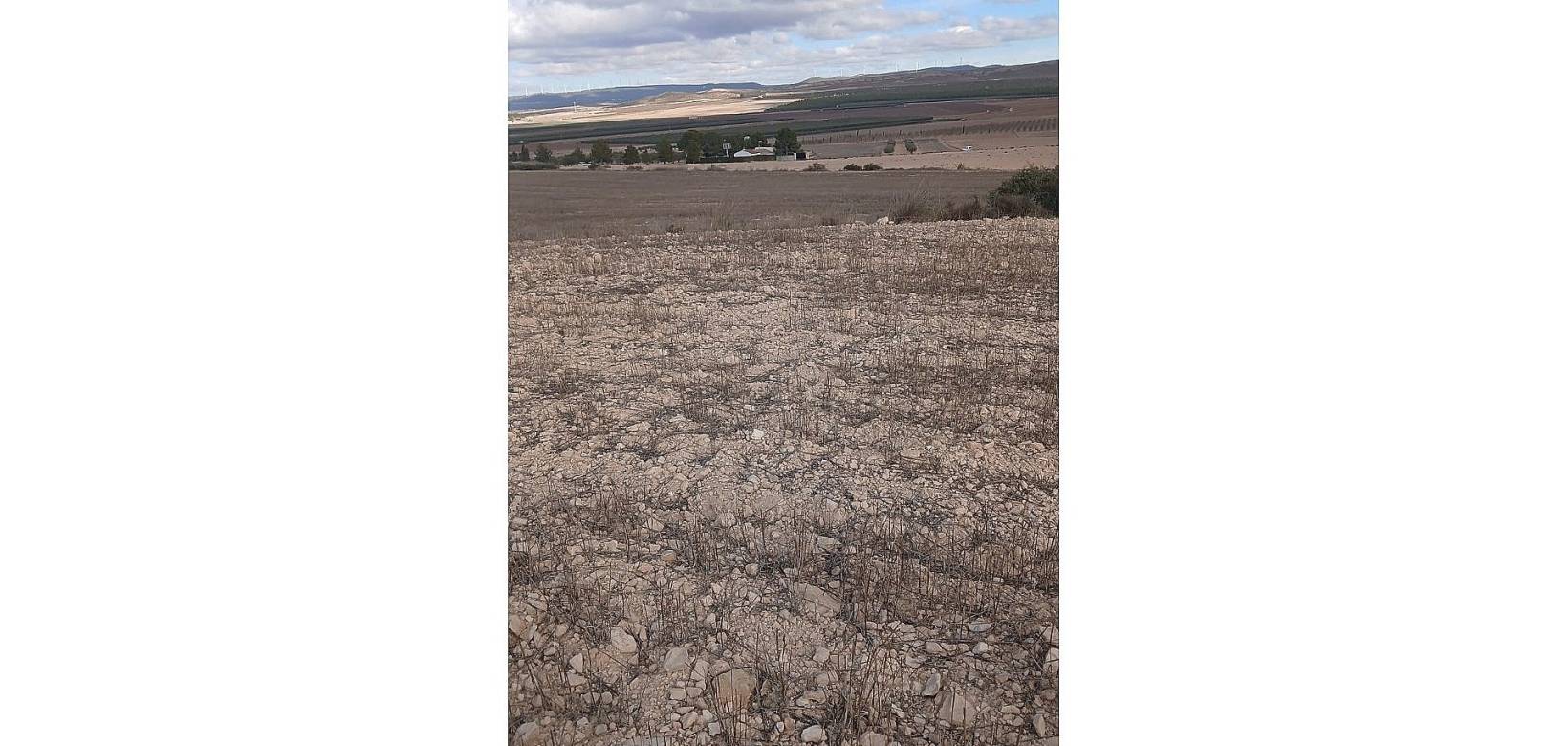 Resale - Land - Yecla