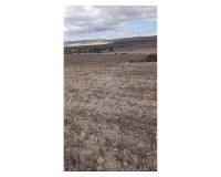 Resale - Land - Yecla