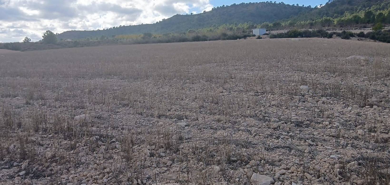 Resale - Land - Yecla