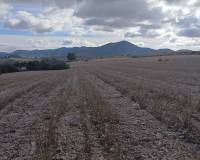 Resale - Land - Yecla