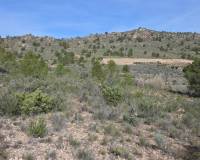 Resale - Land - Yecla