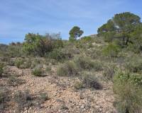 Resale - Land - Yecla